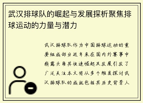 武汉排球队的崛起与发展探析聚焦排球运动的力量与潜力