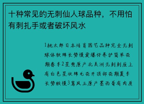 十种常见的无刺仙人球品种，不用怕有刺扎手或者破坏风水